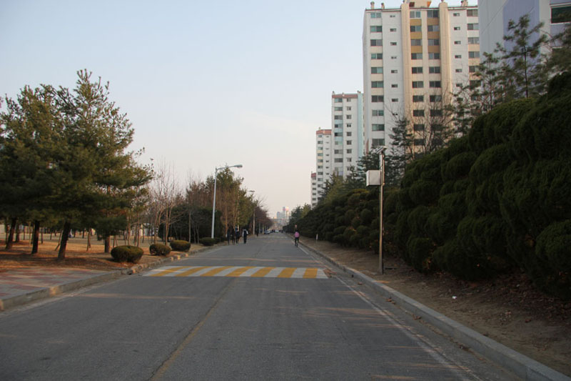 Much of the foliage that separated KAIST from the Hanbit apartments were cut down early March