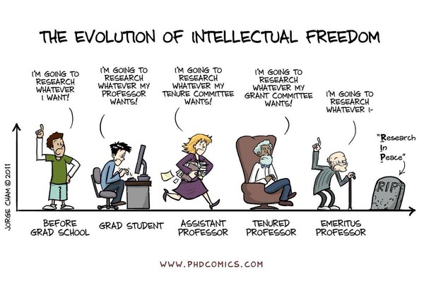 Those who enter academia in hopes of pursuing their passions are quickly struck by the harshness of reality (illustration by PHD Comics)