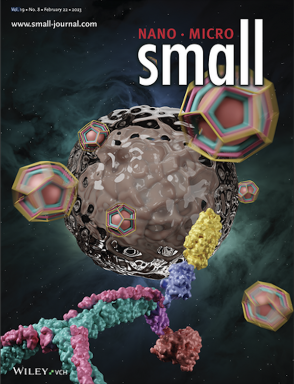 The Cover of the jounral Small Volume 19 No.8