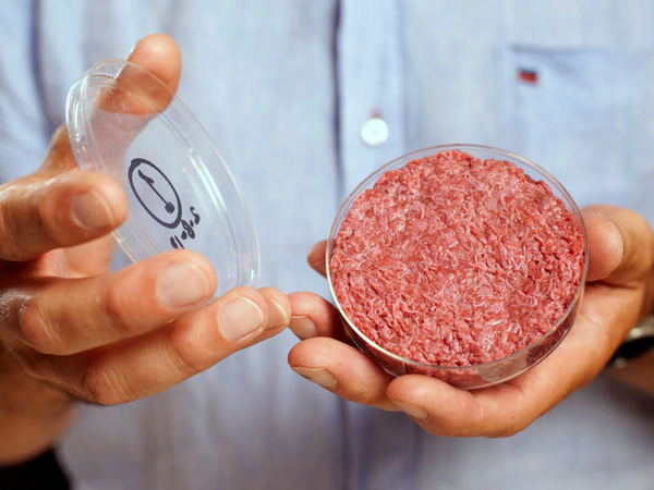 Creating meat in a petri dish.